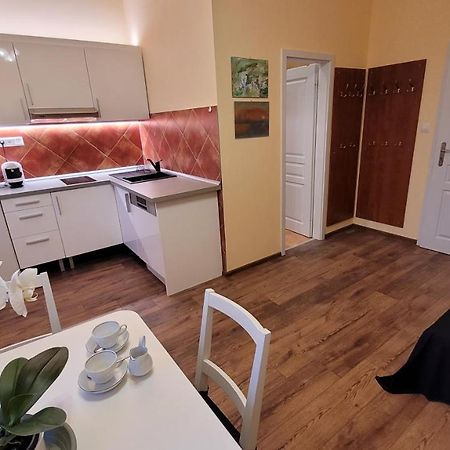 Apartmán U kolonády Mariánské Lázně Esterno foto