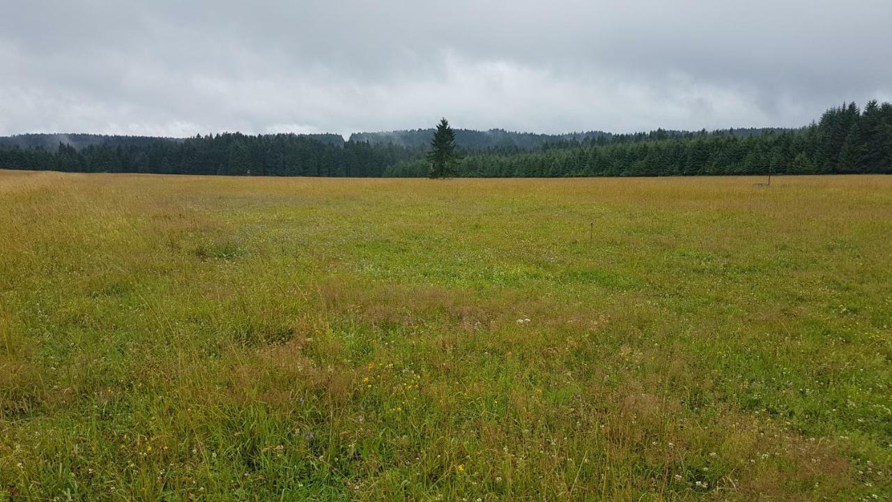 Apartmán U kolonády Mariánské Lázně Esterno foto