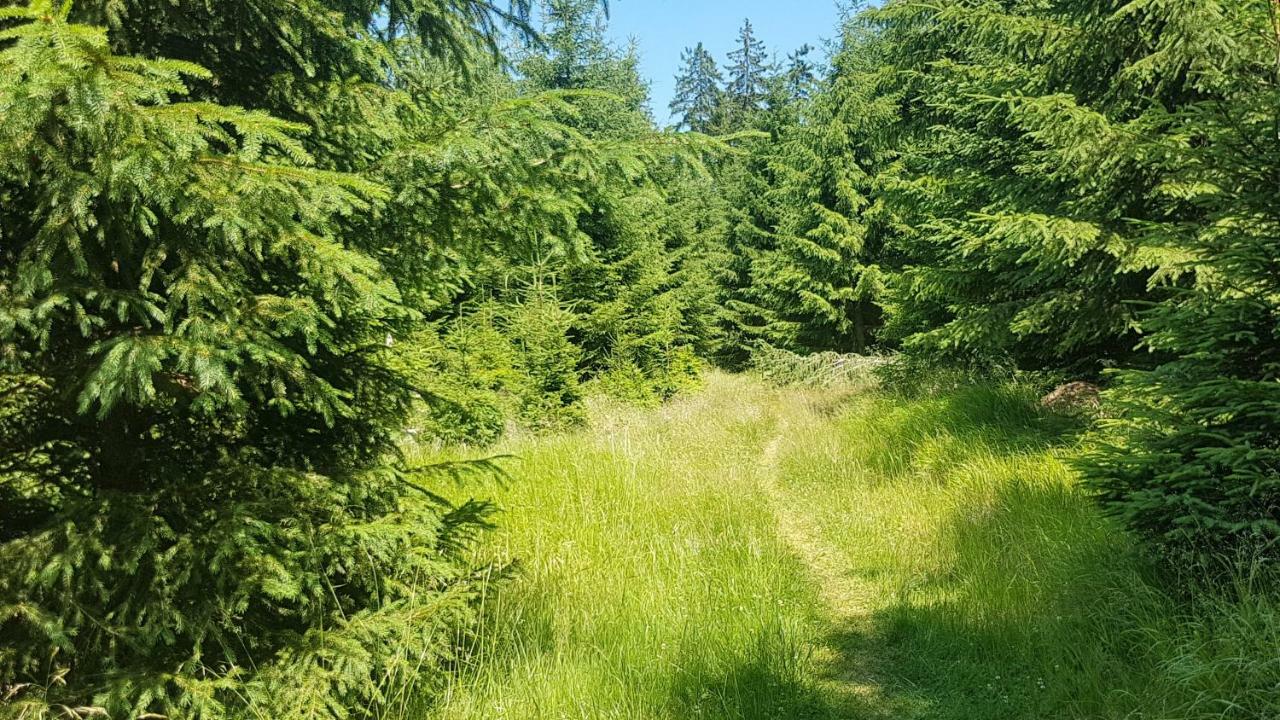 Apartmán U kolonády Mariánské Lázně Esterno foto