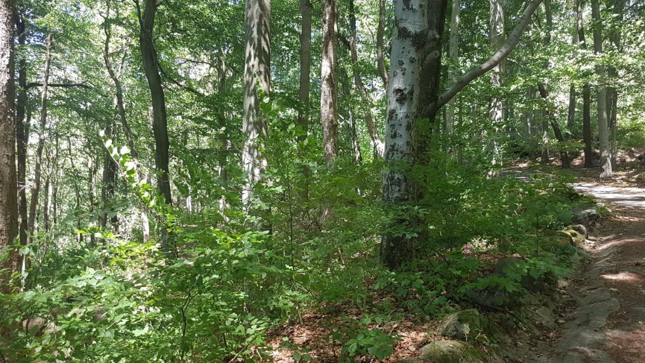 Apartmán U kolonády Mariánské Lázně Esterno foto