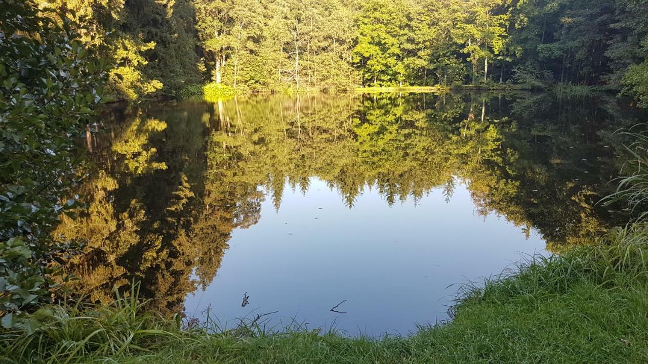 Apartmán U kolonády Mariánské Lázně Esterno foto